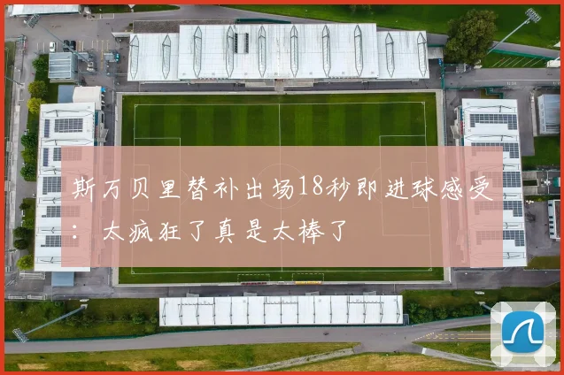 斯万贝里替补出场18秒即进球感受：太疯狂了真是太棒了